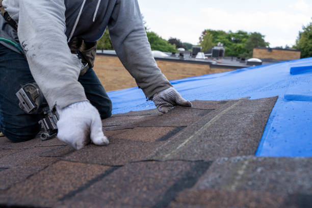 Quick and Trustworthy Emergency Roof Repair Services in Yuba City, CA